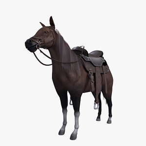 3D cowboy horse