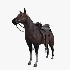 Cowboy Horse Rigged