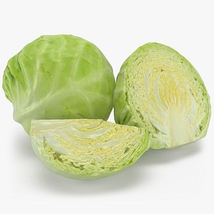 3D Cabbage model
