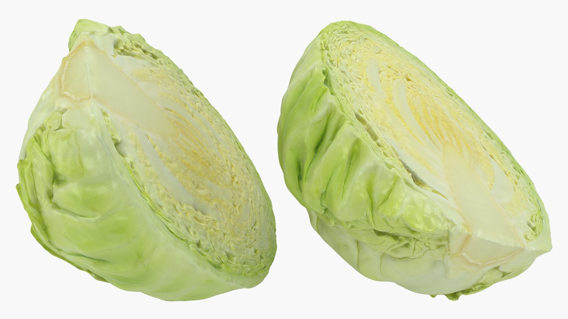 3D Cabbage model https://p.turbosquid.com/ts-thumb/qk/BCIP5i/Mm/wholehalfslicecabbage_a0003/jpg/1646161564/1920x1080/fit_q87/401a32fb3098bba7b5d60717783f295cc0396df5/wholehalfslicecabbage_a0003.jpg