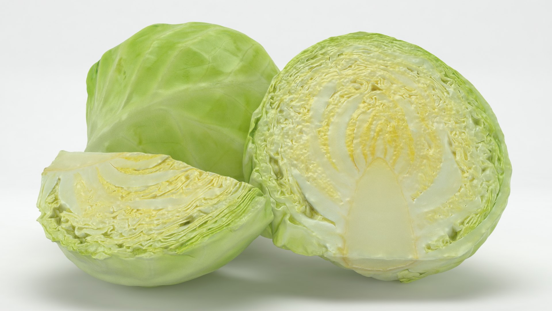 3D Cabbage model https://p.turbosquid.com/ts-thumb/qk/BCIP5i/XF/wholehalfslicecabbage_b0006/jpg/1646161518/1920x1080/fit_q87/48ff34ebb115ea059b98521546f6dd799bd349a9/wholehalfslicecabbage_b0006.jpg