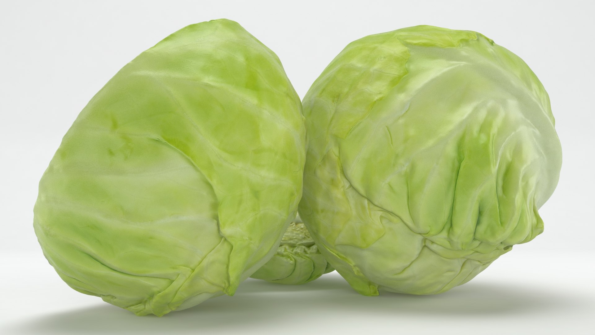 3D Cabbage model https://p.turbosquid.com/ts-thumb/qk/BCIP5i/Xy/wholehalfslicecabbage_b0008/jpg/1646161518/1920x1080/fit_q87/3b509a3dd30f9eb4efef5c26cbd4b9f40cc840b4/wholehalfslicecabbage_b0008.jpg