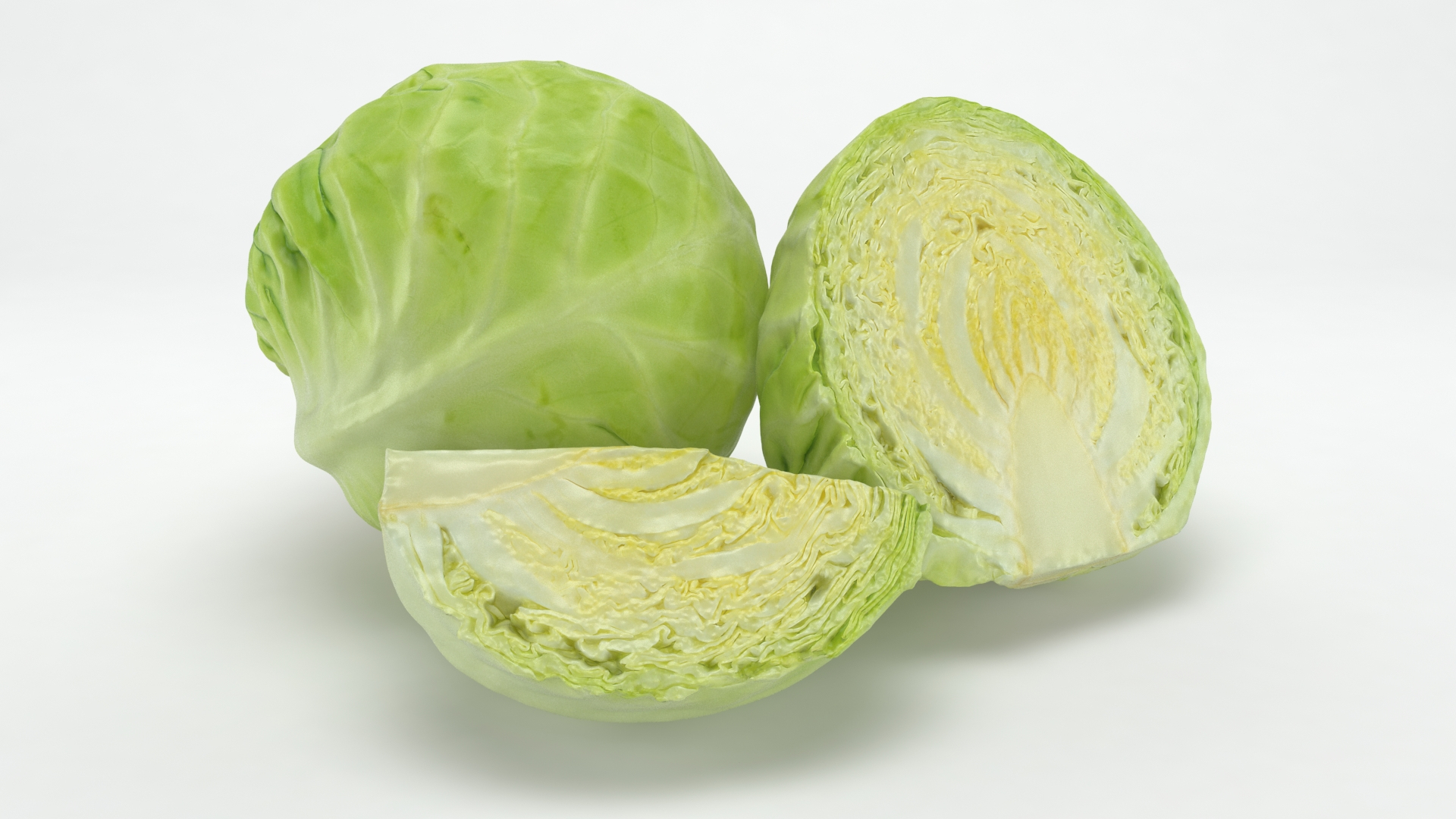 3D Cabbage model https://p.turbosquid.com/ts-thumb/qk/BCIP5i/YQ/wholehalfslicecabbage/jpg/1646161497/1920x1080/turn_fit_q99/262ede31c7d3981b36b858c7a8bea2cf9fb7ef1c/wholehalfslicecabbage-1.jpg