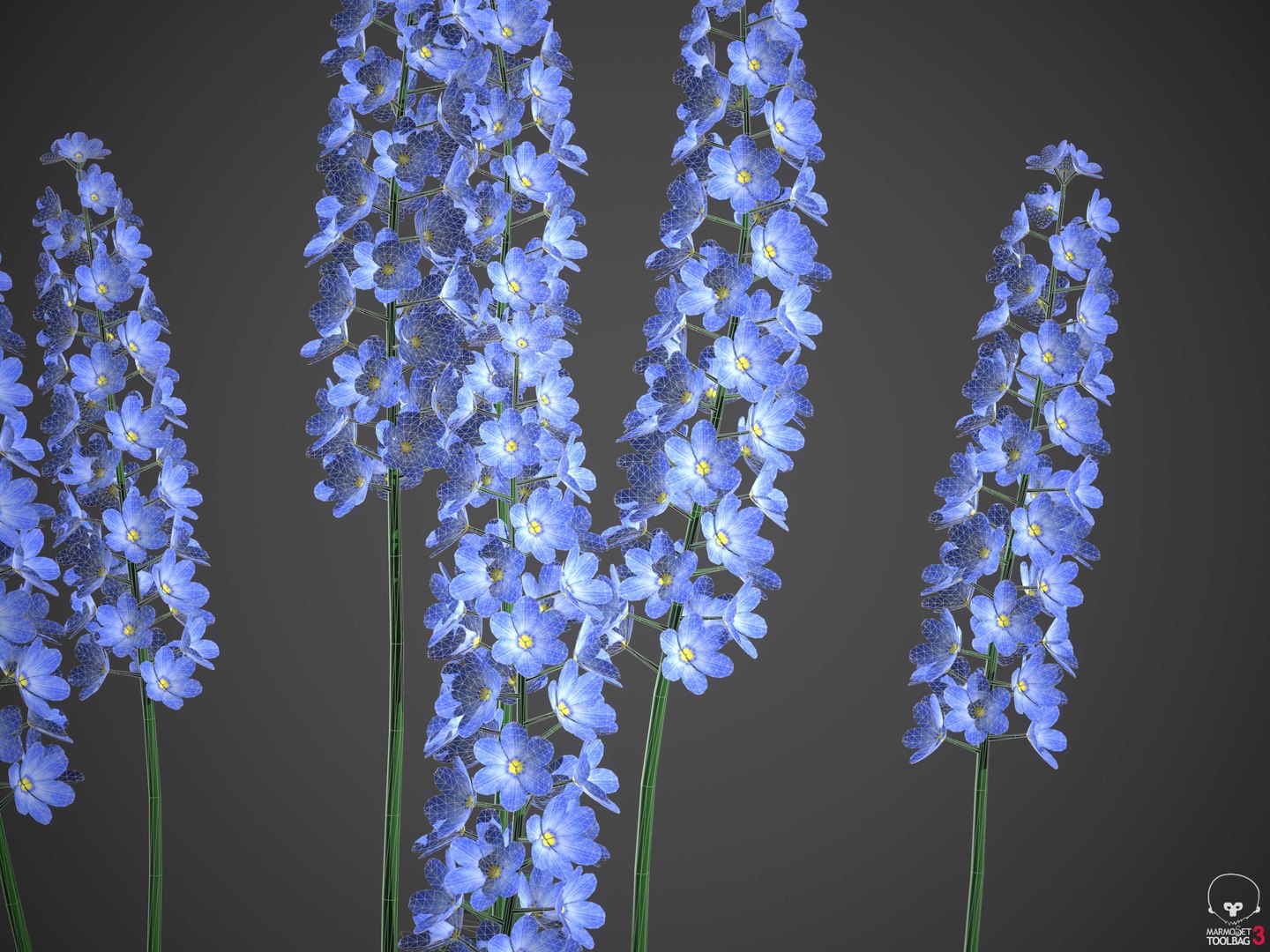 XfrogPlants Larkspur - Delphinium model https://p.turbosquid.com/ts-thumb/qk/DBXpo0/F8/wireframe1/jpg/1620677961/1920x1080/fit_q87/d058322b040096e1cfc69dce829d9fd098f35a7a/wireframe1.jpg