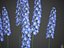 XfrogPlants Larkspur - Delphinium