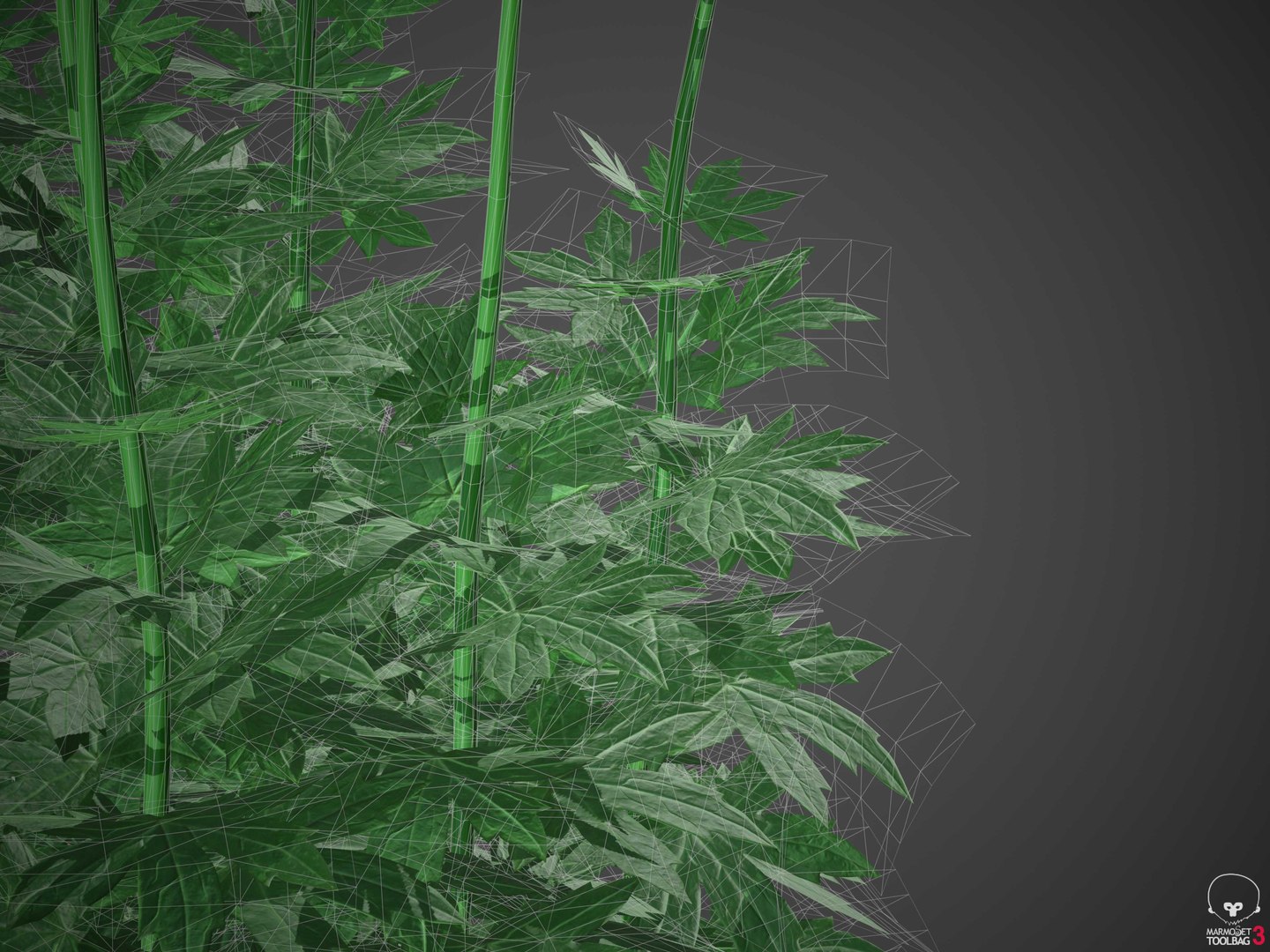 XfrogPlants Larkspur - Delphinium model https://p.turbosquid.com/ts-thumb/qk/DBXpo0/Ly/wireframe2/jpg/1620677961/1920x1080/fit_q87/58eb58b2fa55c7ab4c4d6d275709bc0580196edd/wireframe2.jpg