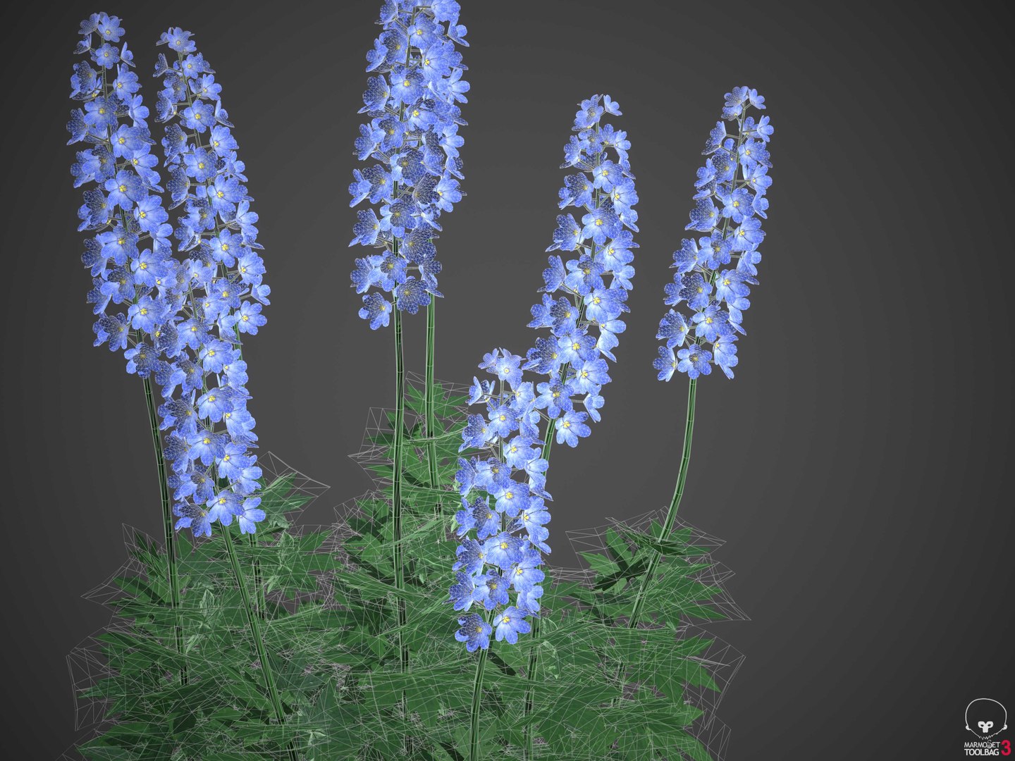 XfrogPlants Larkspur - Delphinium model https://p.turbosquid.com/ts-thumb/qk/DBXpo0/f8/wireframe3/jpg/1620677962/1920x1080/fit_q87/4bc2380ade2b65104cc82e931fc87a820fdbf48a/wireframe3.jpg