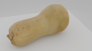 scanned gourd pumpkin 3D model