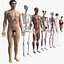 3D Full human body 3d max199