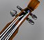 Violin + Bow