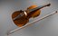 Violin + Bow