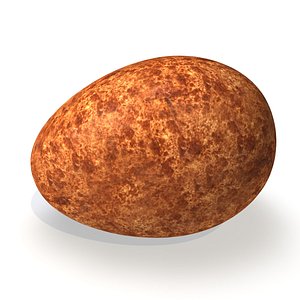 realistic peregrine falcon egg dxf