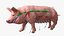 Pig Sow Landrace Rigged for Blender model