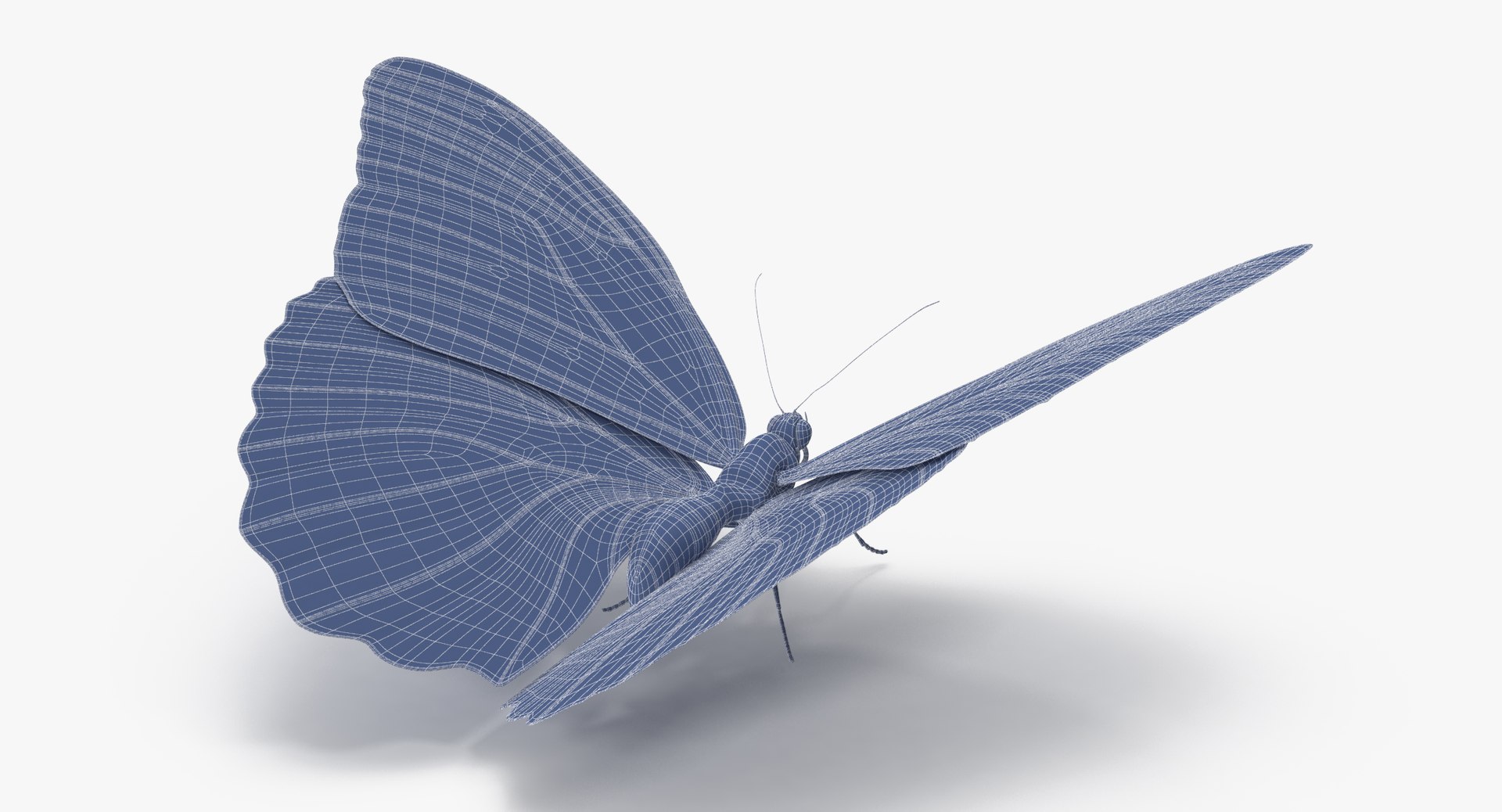 Blue Butterfly 3D, Incl. insect & beautiful - Envato Elements
