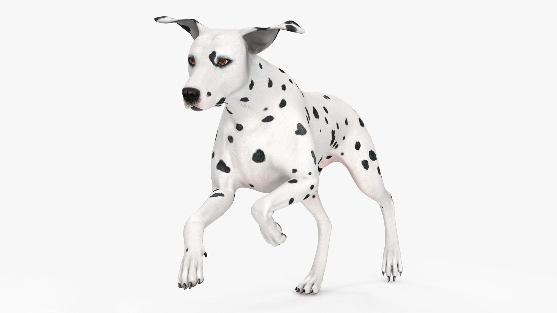 Running Dalmatian Dog 3D model preview