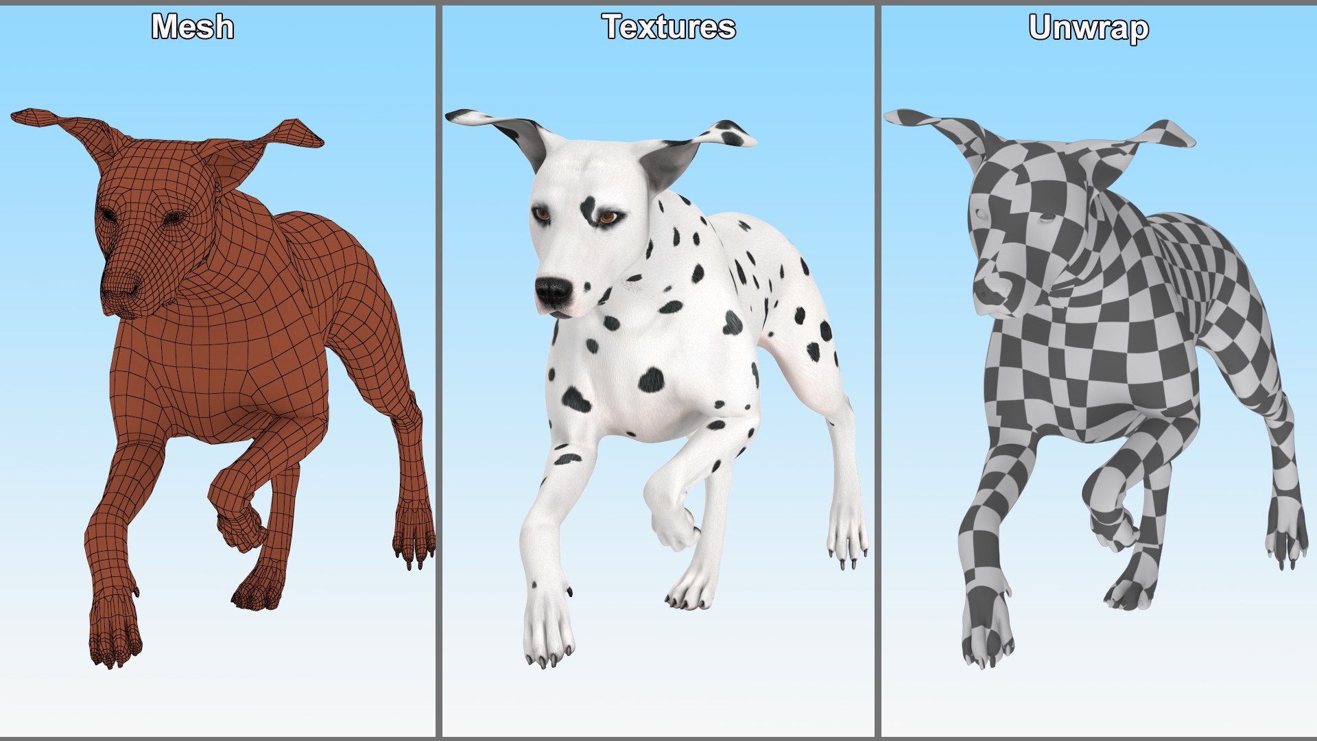 3D model Running Dalmatian Dog https://p.turbosquid.com/ts-thumb/ql/23rSGN/Sa/running_dalmatian_dog_016/jpg/1716121971/1920x1080/fit_q87/c524280c5932b204a5b34b03ddf54cf58717d354/running_dalmatian_dog_016.jpg