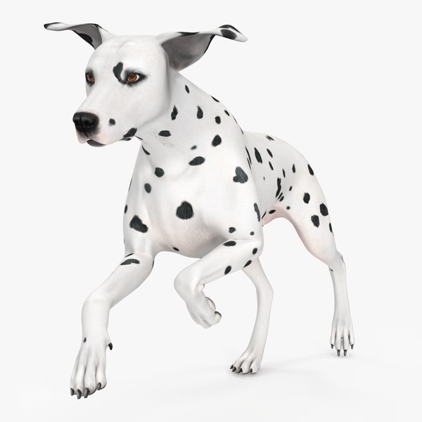 3D model Running Dalmatian Dog