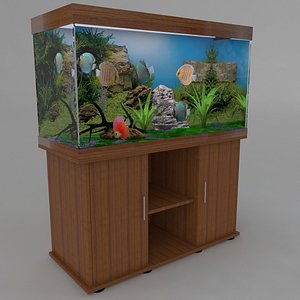fishtank discus 3d max