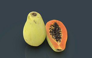 papaya fruit 3D model