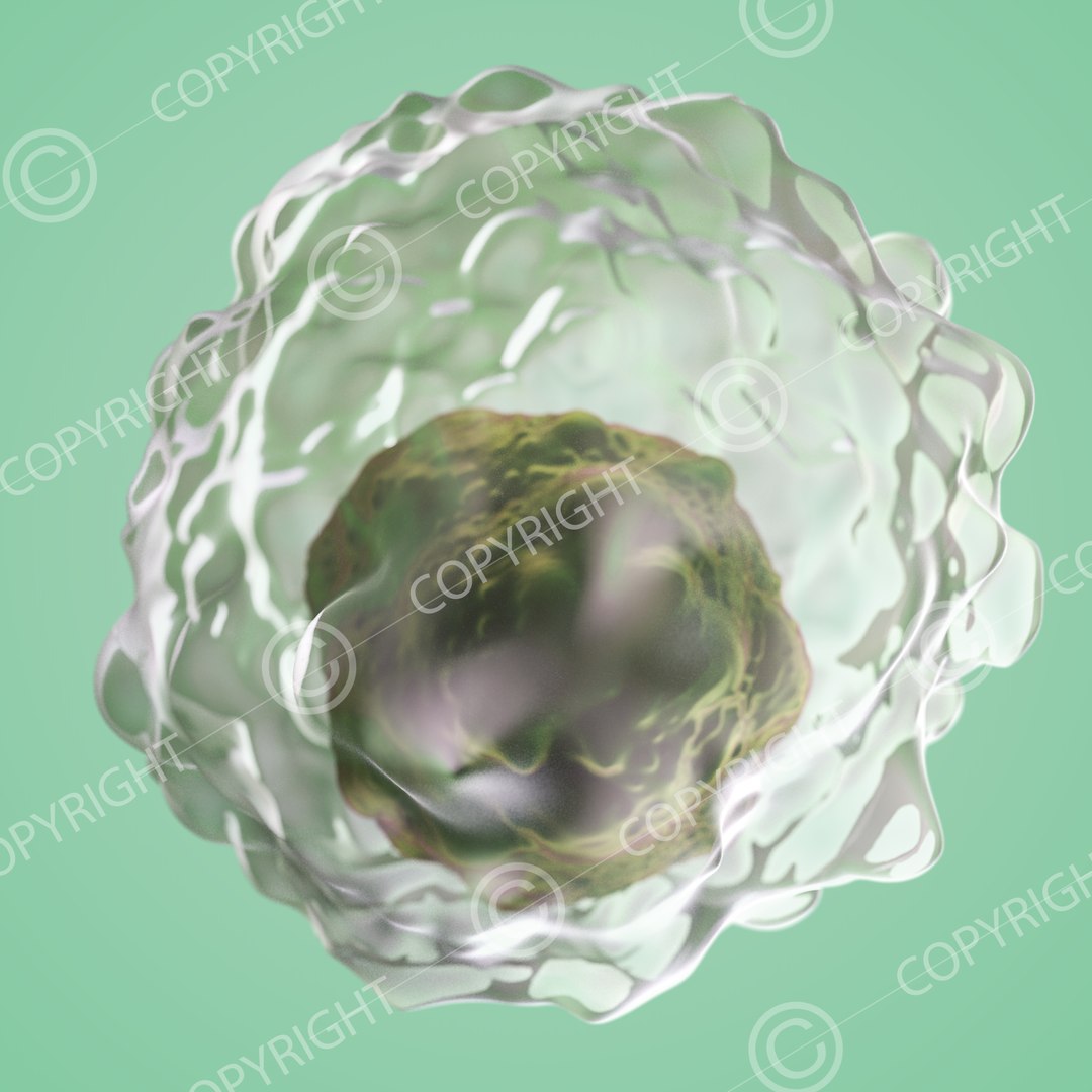 3D Model Science - TurboSquid 1372600
