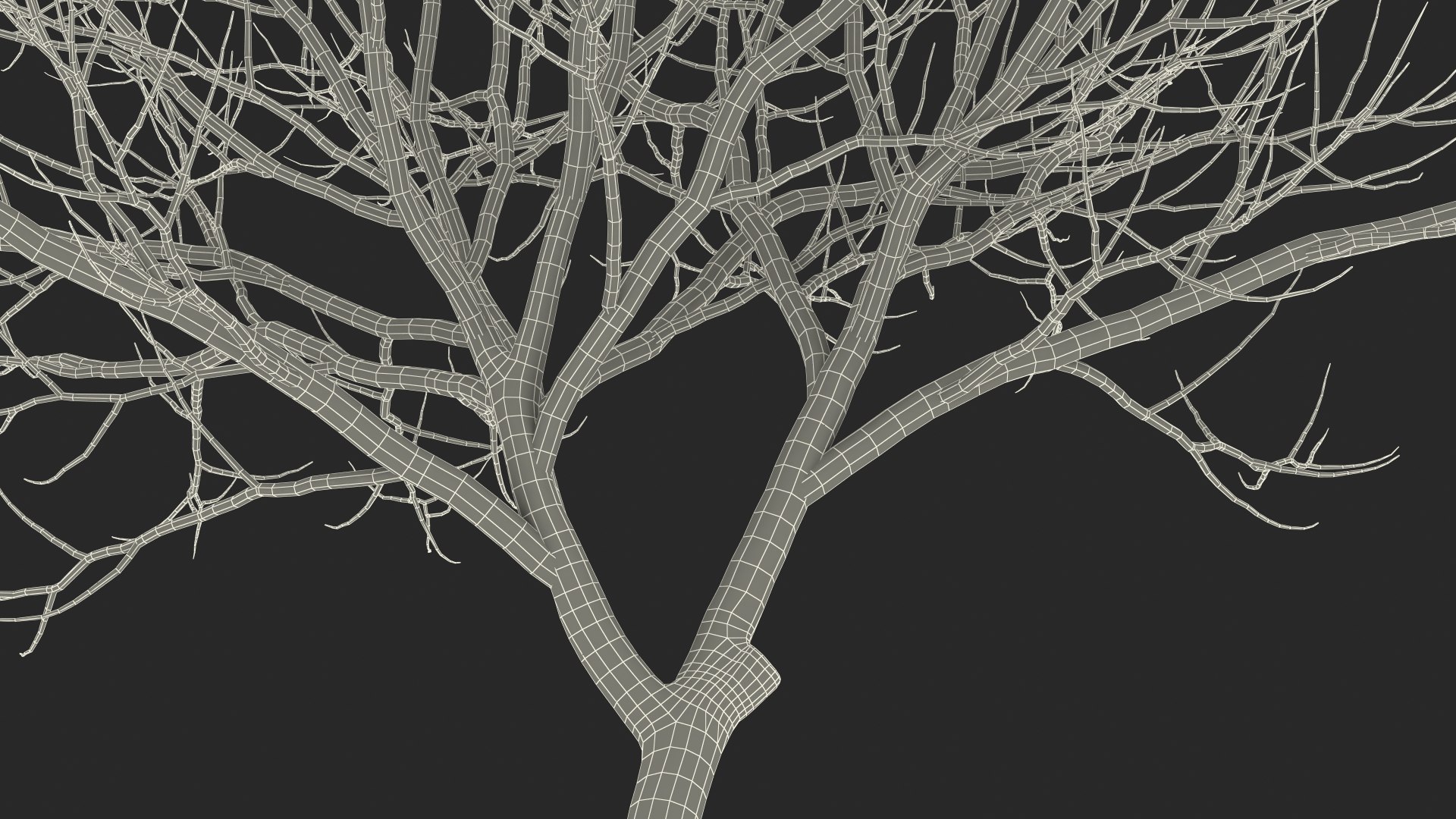3D Peltophorum Pterocarpum Trunk - TurboSquid 1705245