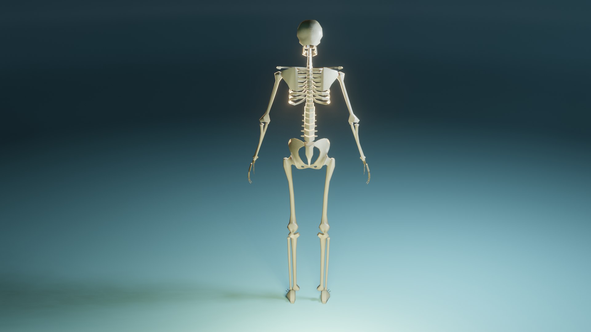 Skeleton Rigged 3D Model - TurboSquid 1589539