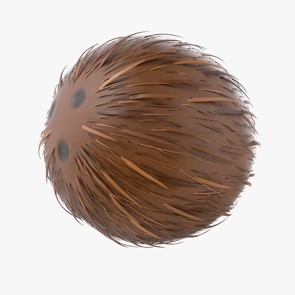 Cartoon Coconut 3D