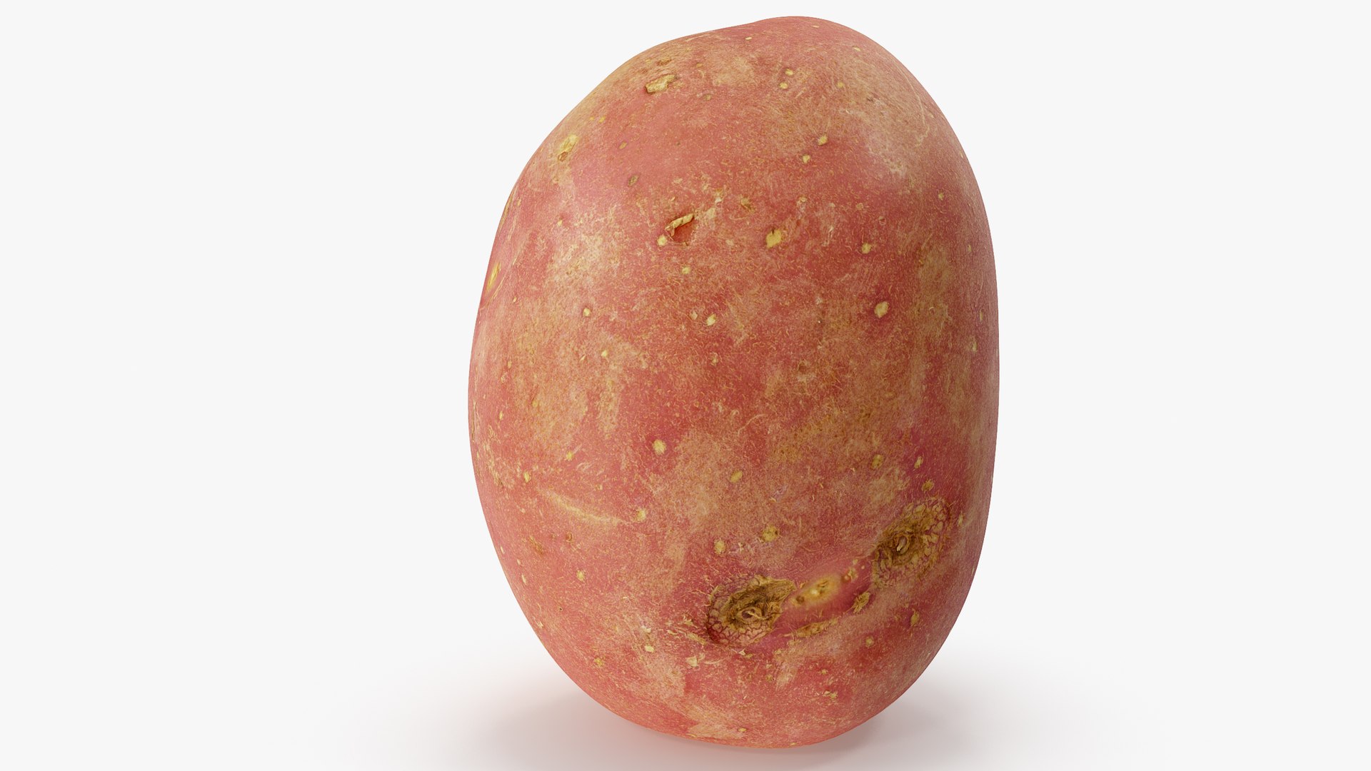 3D potatoes 01-05 https://p.turbosquid.com/ts-thumb/ql/MqG2Ms/Lvfwo0QK/a2_0009copy/jpg/1573200348/1920x1080/fit_q87/1665f725d5d27e2f535ea95272857564839363b7/a2_0009copy.jpg