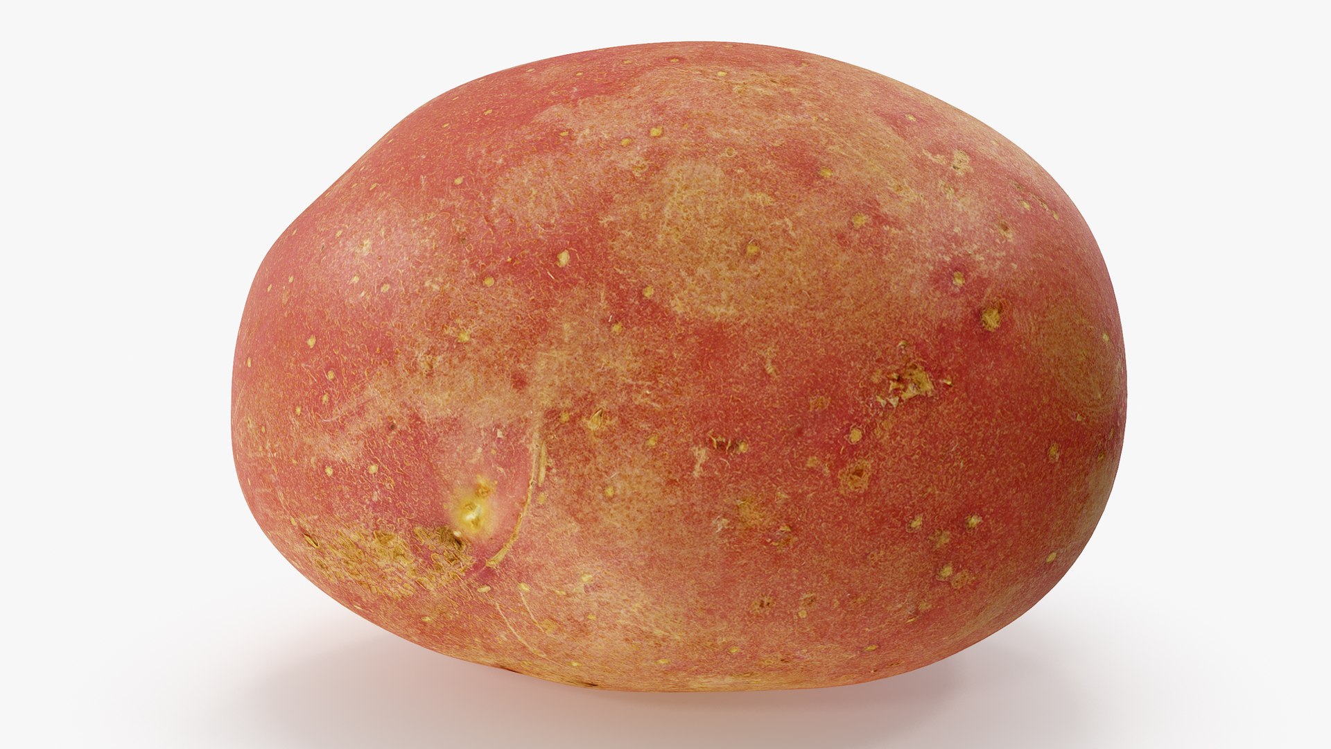 3D potatoes 01-05 https://p.turbosquid.com/ts-thumb/ql/MqG2Ms/XIeoL0p6/a_0000copy/jpg/1573200347/1920x1080/fit_q87/3874ce995f9b7c20d710717cdbecf46f282e2d5f/a_0000copy.jpg