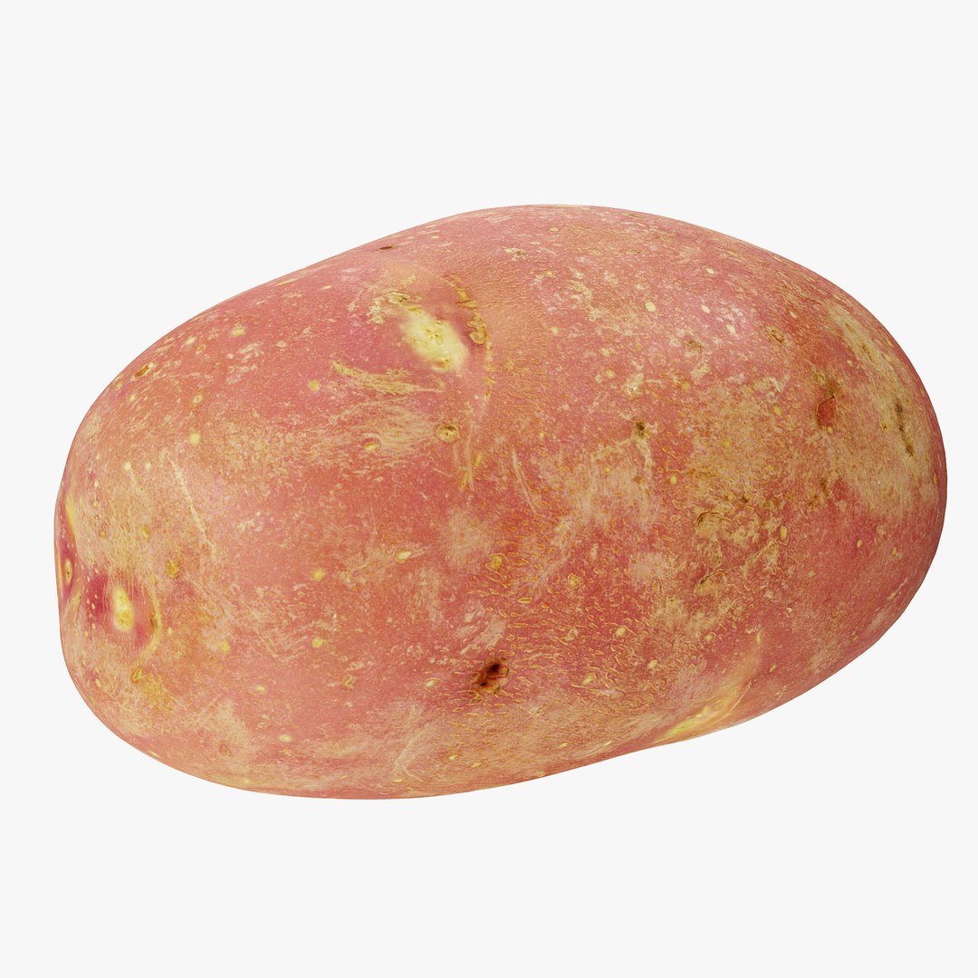 3D potatoes 01-05 https://p.turbosquid.com/ts-thumb/ql/MqG2Ms/wVqW06m5/_sign/png/1573200232/1920x1080/fit_q87/f92b946365fa218786193b84d33c9febec9764cf/_sign.jpg