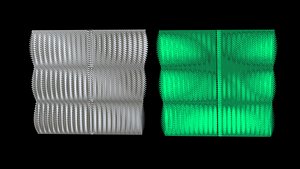 3D Cortical Layer Texture -Grid-Map-33300-Solid Structure