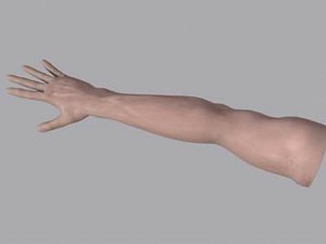 Medium Poly Arm