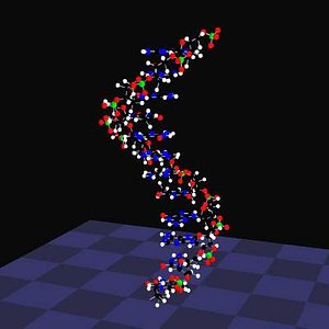 3d model dna