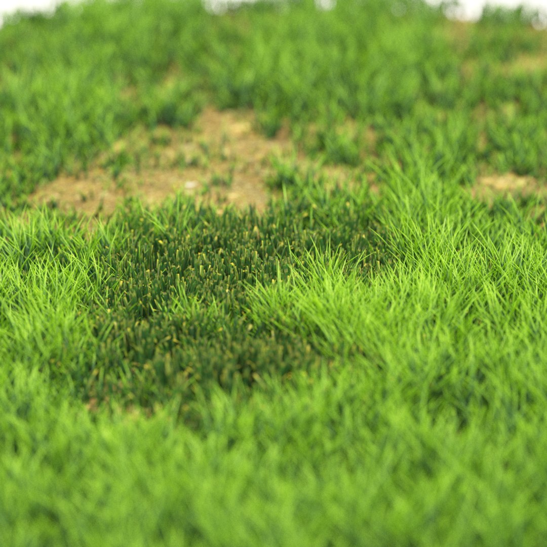 v-ray model https://p.turbosquid.com/ts-thumb/ql/bkolLN/IW4fvIdb/r_14/png/1603289275/1920x1080/fit_q87/a3d676765c33008008157d85ea1f4aed35615826/r_14.jpg