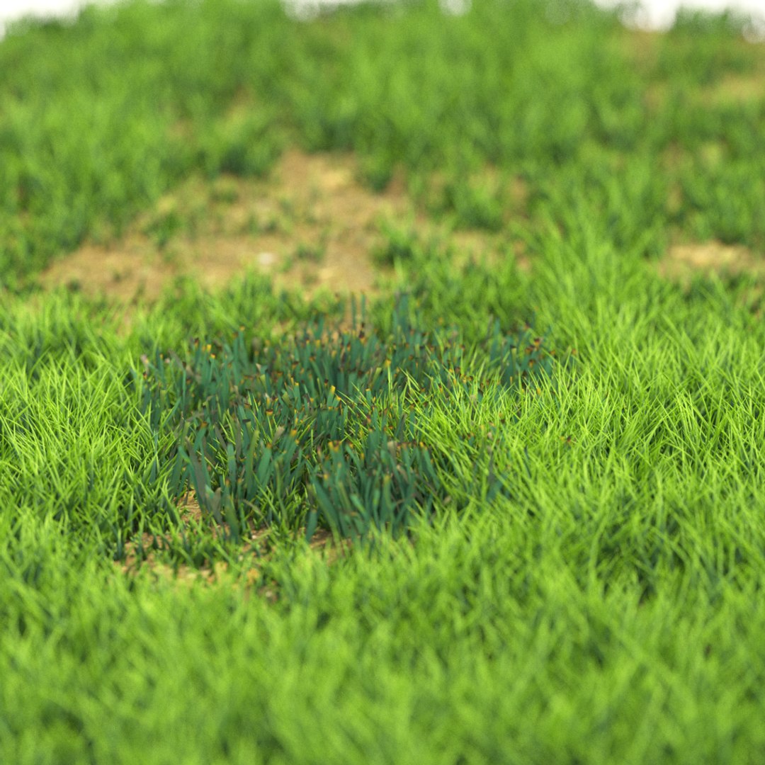 v-ray model https://p.turbosquid.com/ts-thumb/ql/bkolLN/MfZfsFfg/r_16/png/1603289361/1920x1080/fit_q87/3b0d1dd4ebefc14540fb21cfb1d55ac863246762/r_16.jpg