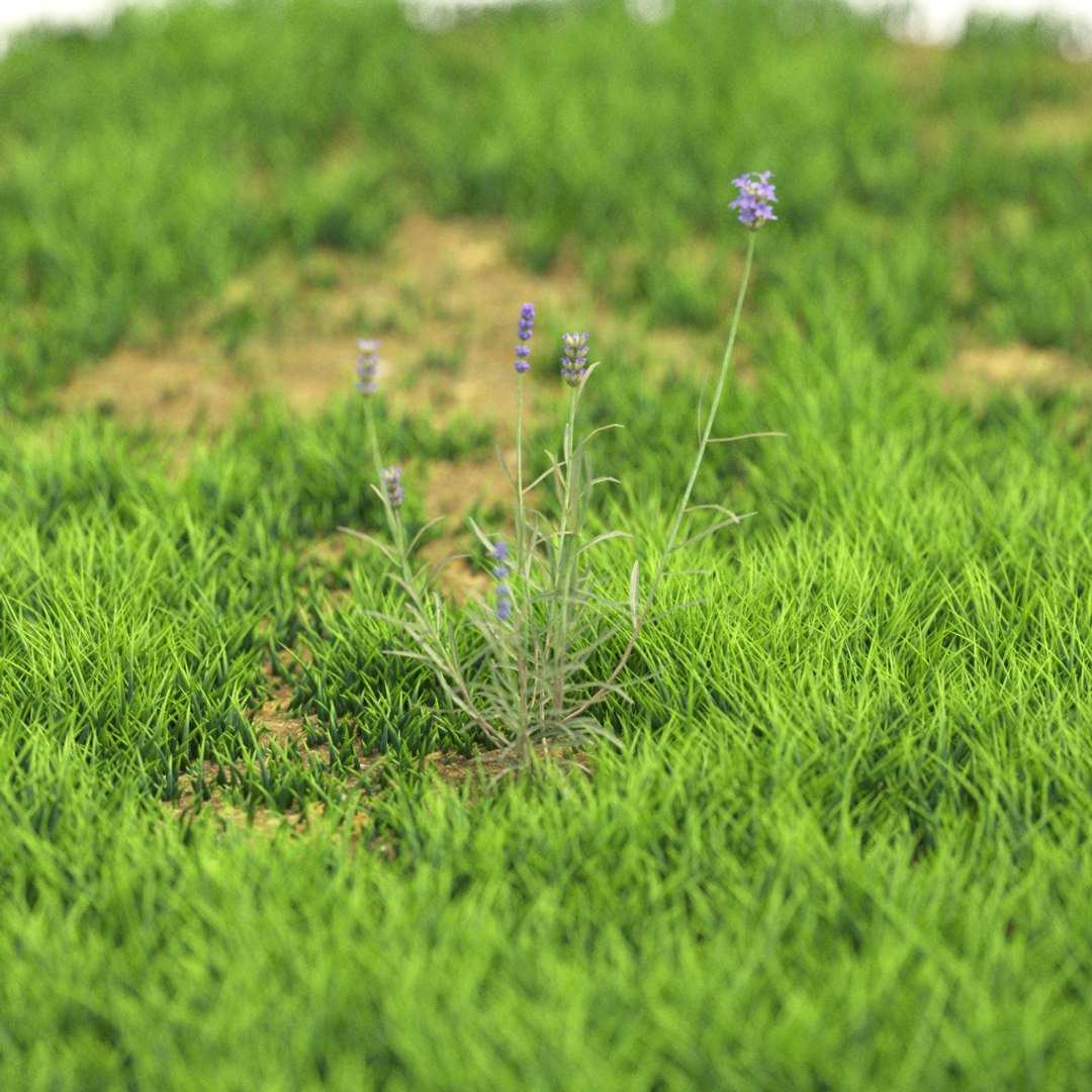 v-ray model https://p.turbosquid.com/ts-thumb/ql/bkolLN/NuRLH392/r_19/png/1603289460/1920x1080/fit_q87/903095d33c93daadbf3444bdb3e3b73411a3b9df/r_19.jpg