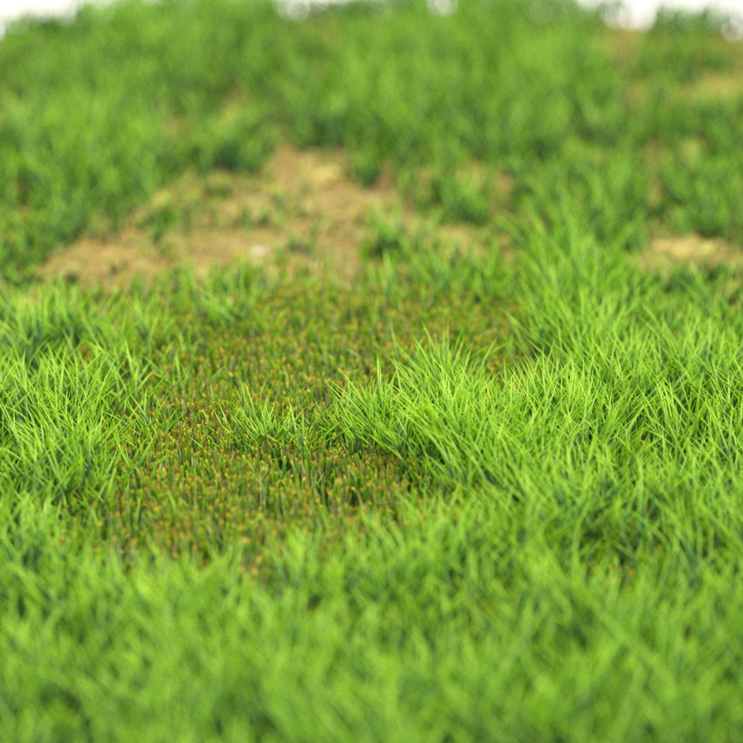 v-ray model https://p.turbosquid.com/ts-thumb/ql/bkolLN/cItTT0tV/r_12/png/1603289214/1920x1080/fit_q87/95f5cd36fcc16e73f9b33e6dc9f602ff4bca6b06/r_12.jpg