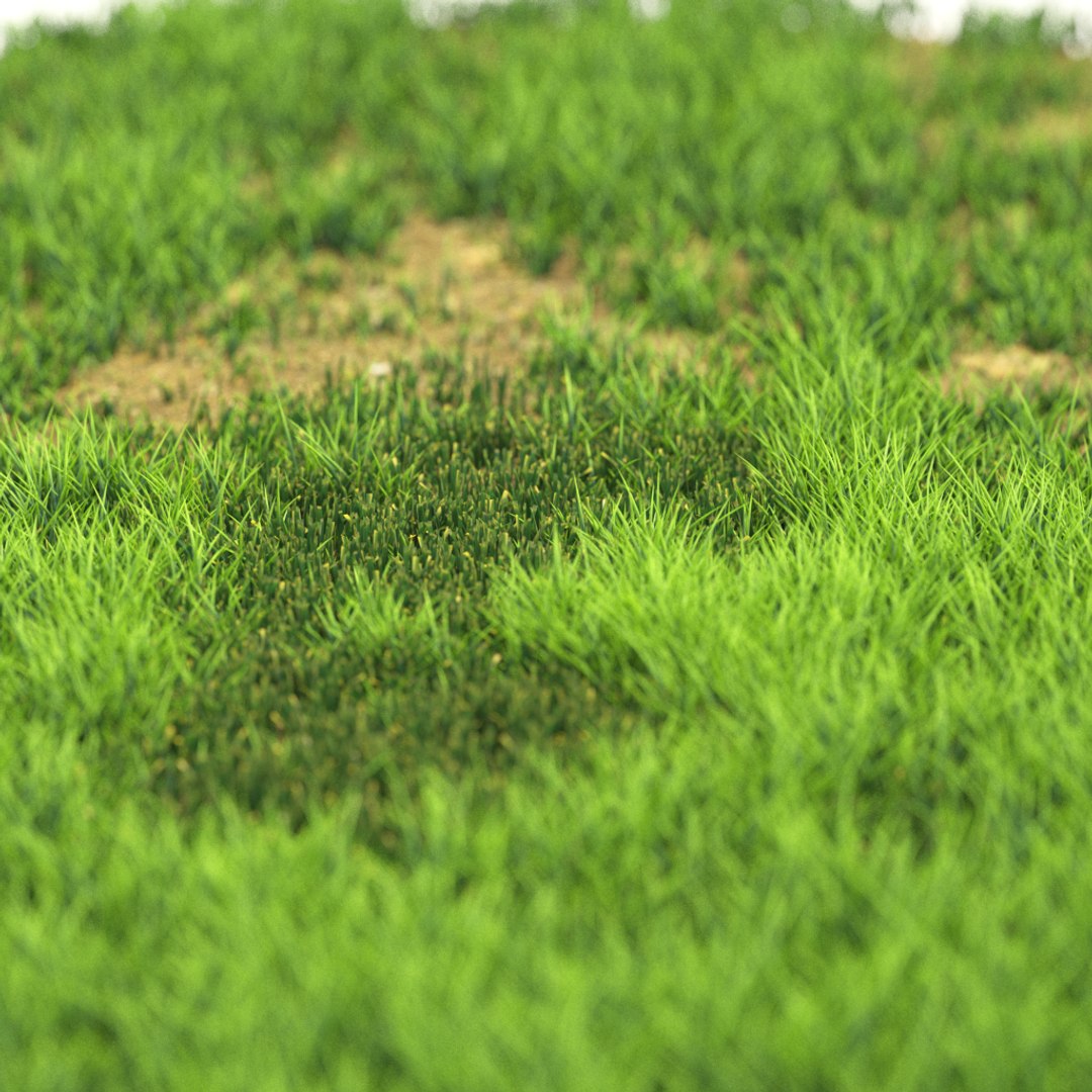 v-ray model https://p.turbosquid.com/ts-thumb/ql/bkolLN/ulKWIs0K/r_15/png/1603289341/1920x1080/fit_q87/9eb2d53eba9d9ad9a3c649ada76c23cb110a9ce9/r_15.jpg