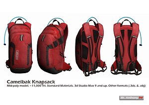 Camelbak Bag