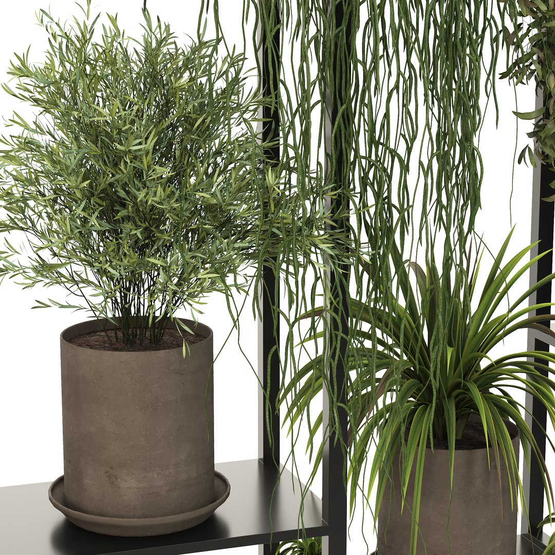 Indoor hanging Plants 2 3D https://p.turbosquid.com/ts-thumb/ql/ht9dVK/81/7/jpg/1647119179/1920x1080/fit_q87/8c2360faf4f0c822c28c7cf9082240ce726636a7/7.jpg