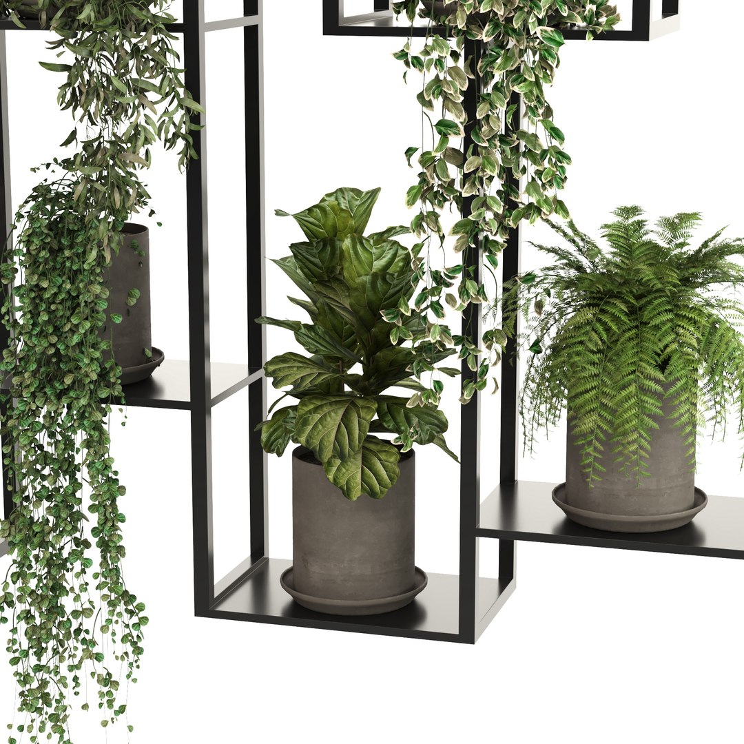 Indoor hanging Plants 2 3D https://p.turbosquid.com/ts-thumb/ql/ht9dVK/BE/8/jpg/1647119163/1920x1080/fit_q87/b417b614e856b481f0a9a8f6ccdbae0b318c3172/8.jpg