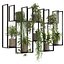 Indoor hanging Plants 2