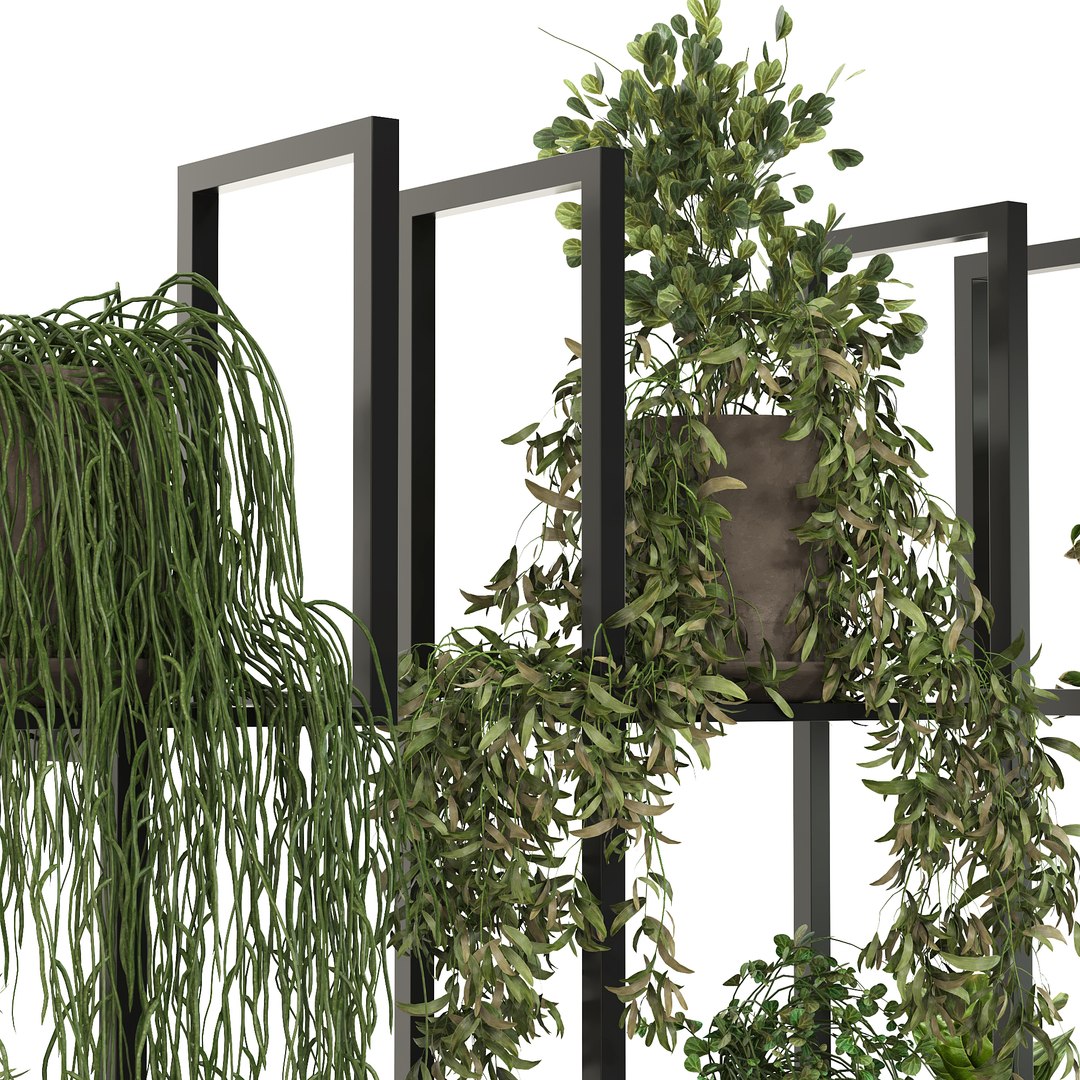 Indoor hanging Plants 2 3D https://p.turbosquid.com/ts-thumb/ql/ht9dVK/N4/9/jpg/1647119171/1920x1080/fit_q87/27bc2a2764e7b8b997ecbbf0615422a73f7dd0dd/9.jpg