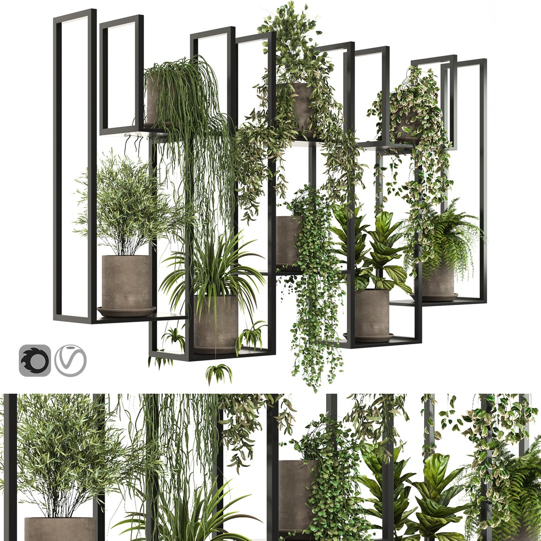 Indoor hanging Plants 2 3D https://p.turbosquid.com/ts-thumb/ql/ht9dVK/Pw/1/jpg/1647119155/1920x1080/fit_q87/88c8d911978733934889c6f27c5f26c42248d33f/1.jpg
