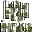 Indoor hanging Plants 2