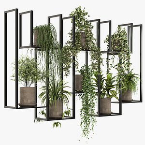 Indoor hanging Plants 2 3D