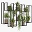 Indoor hanging Plants 2