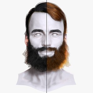 Thick Beard with Classic Hair - Game-Ready Asset model