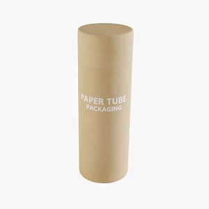 Paper Tube 2 3D model