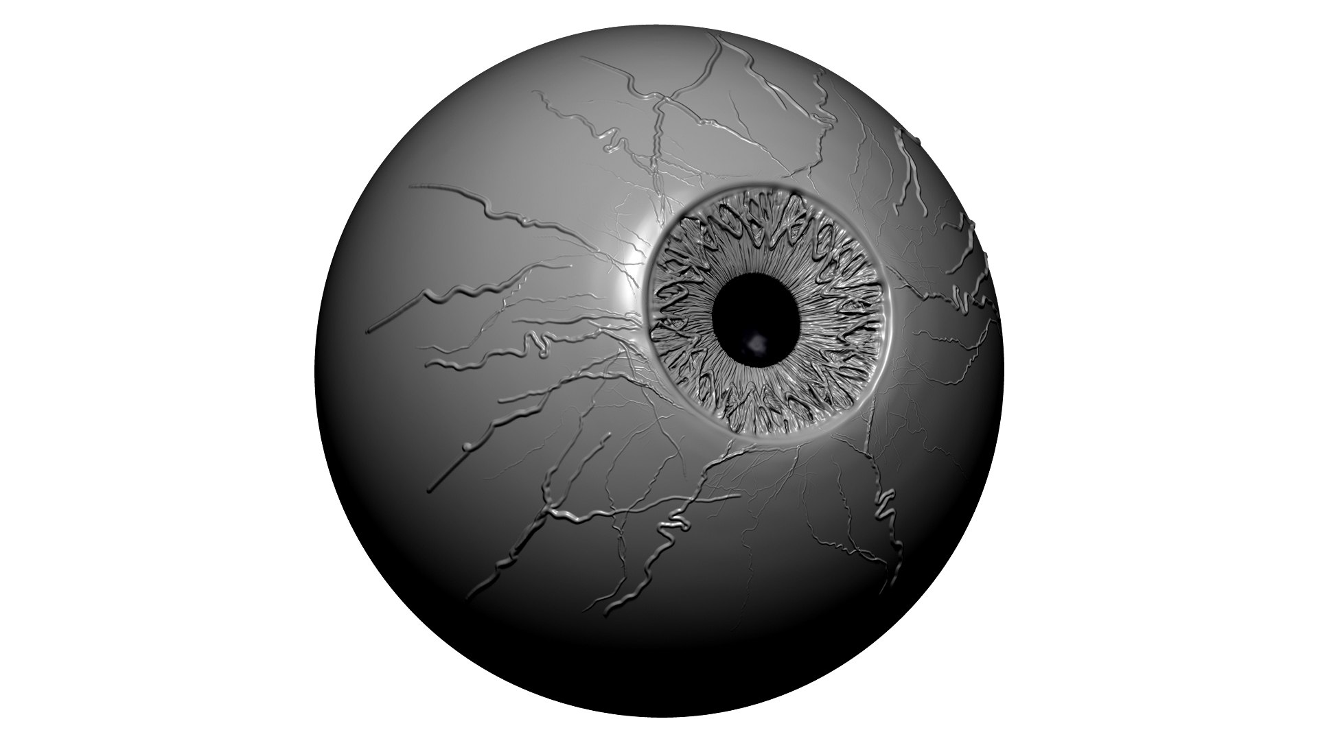 Human Eye 3D Model - TurboSquid 1638100